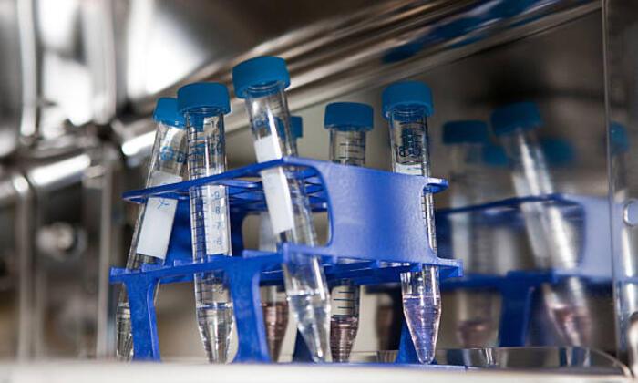 istockphoto 495278499 612x612 1